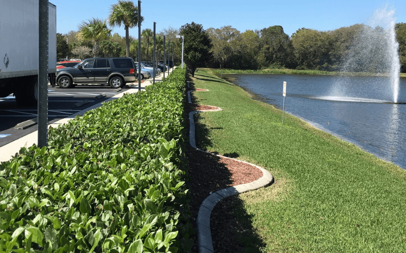 Professional Commercial Landscape Business in Sarasota Florida