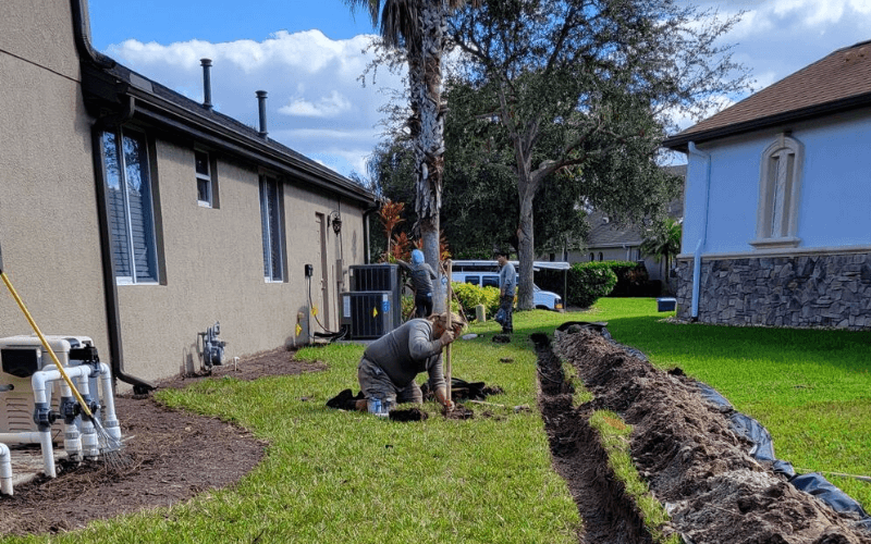 Landscaping Professional Company in Sarasota Florida